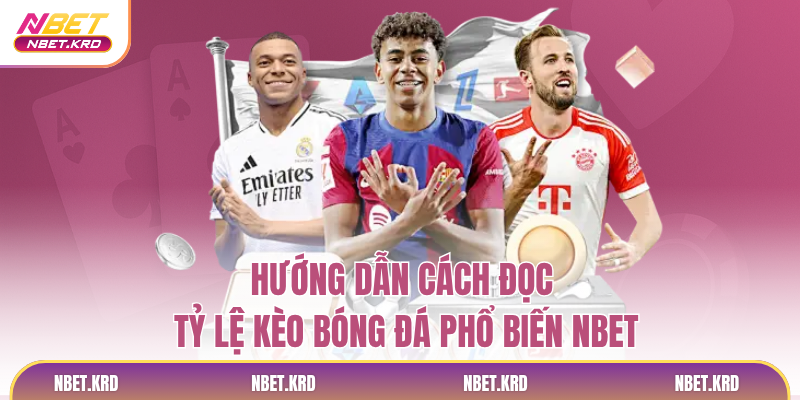 Hướng Dẫn Cách Đọc Tỷ Lệ Kèo Bóng Đá Phổ Biến NBET